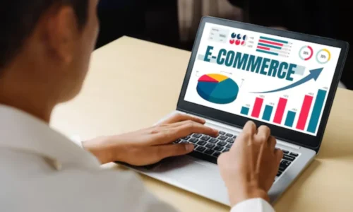 Experience Ecommerce Websites Development in the USA