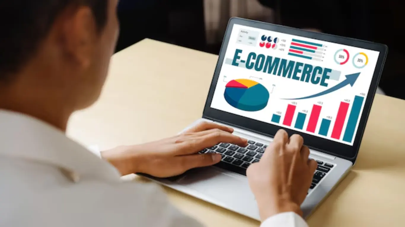 Experience Ecommerce Websites Development in the USA